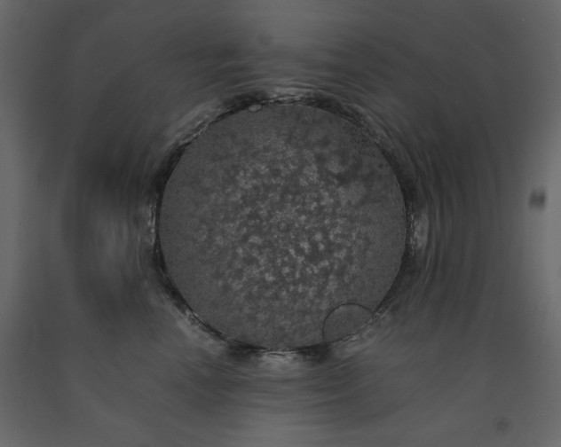 X0000091550666200708241756