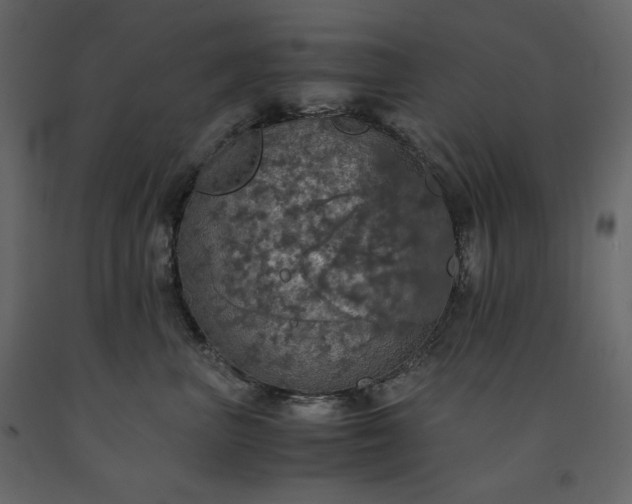 X0000091550667200708241756