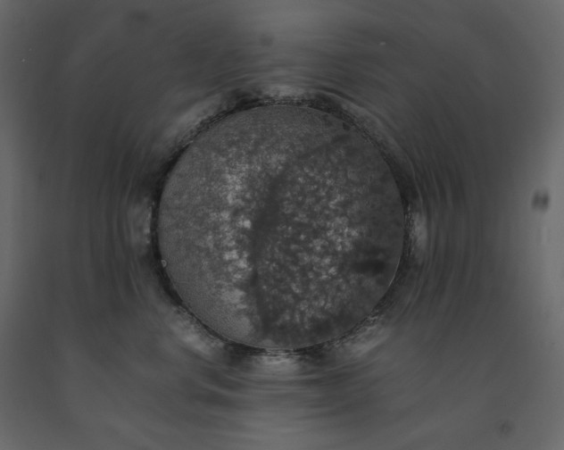 X0000091550668200708241757