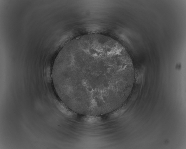 X0000091550670200708241757