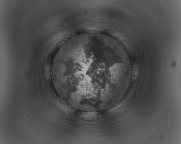X0000091550671200708241757