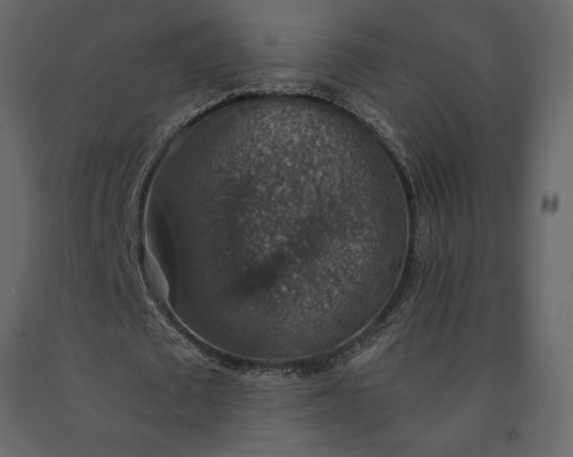 X0000091550673200708241756