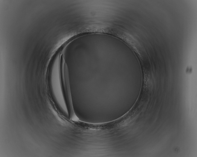 X0000091550674200708241756