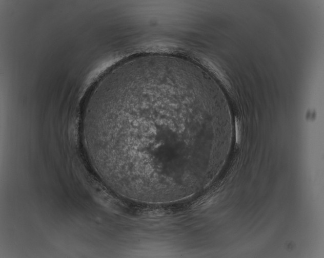 X0000091550675200708241756