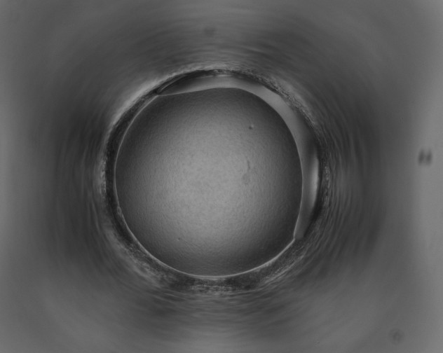X0000091550676200708241756