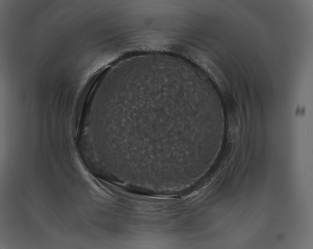 X0000091550677200708241756