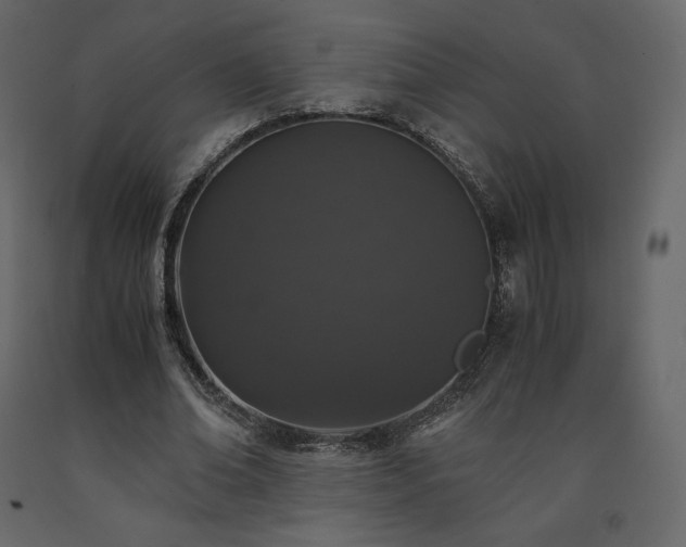 X0000091550678200708241756
