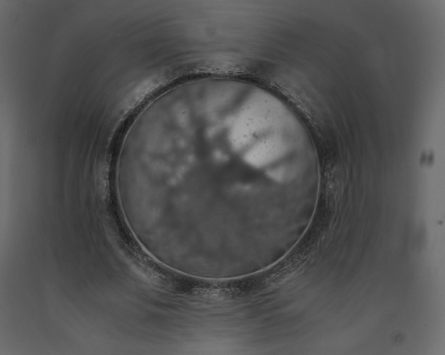 X0000091550679200708241756