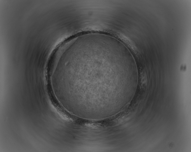 X0000091550680200708241756