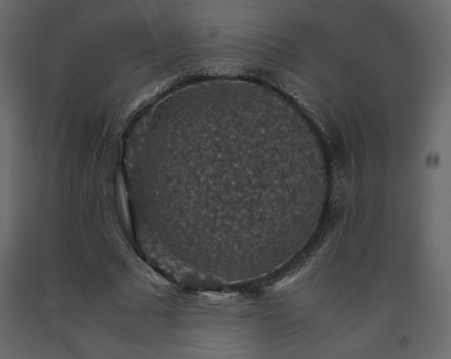 X0000091550681200708241756