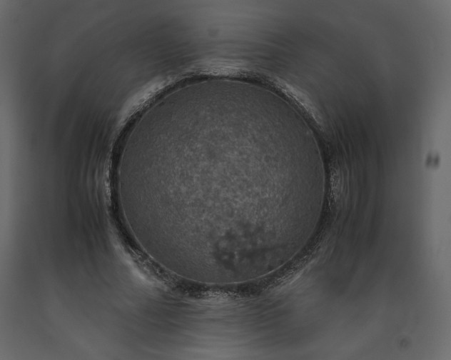 X0000091550682200708241756