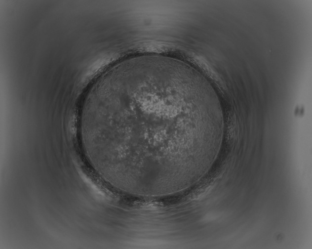 X0000091550683200708241756