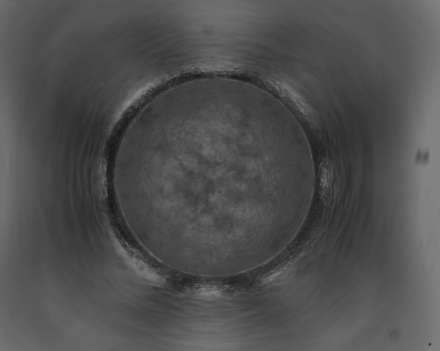 X0000091550684200708241756
