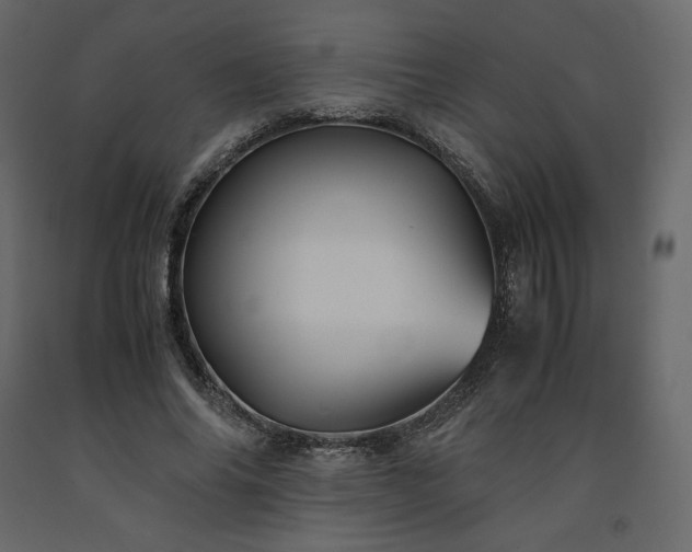 X0000091550686200708241756
