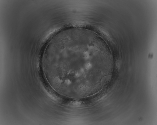 X0000091550687200708241756