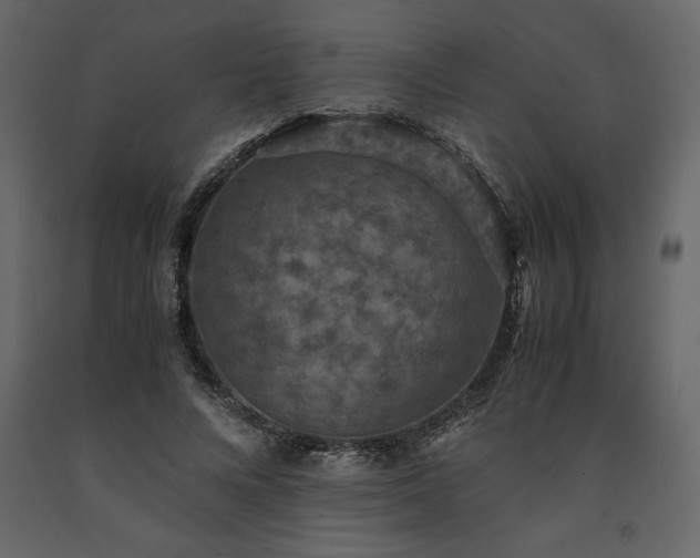 X0000091550688200708241756