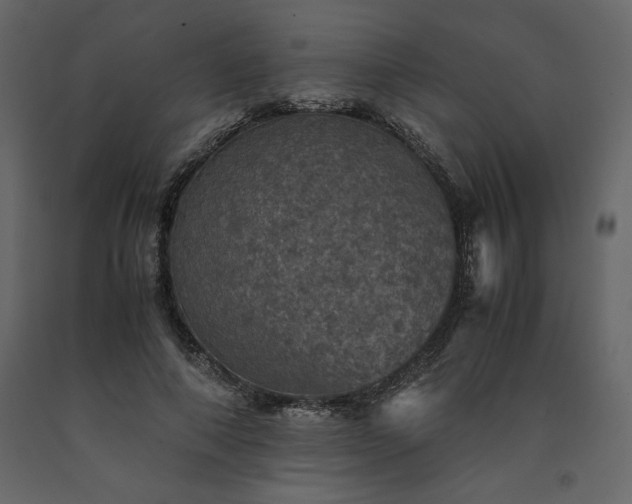X0000091550690200708241756