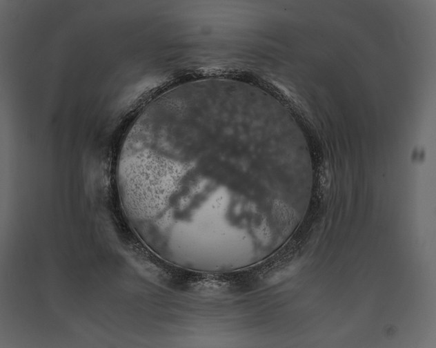 X0000091550691200708241756
