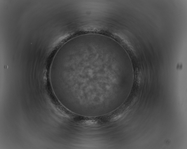 X0000091550692200708241756