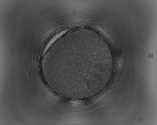 X0000091550693200708241756