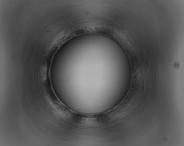 X0000091550694200708241756