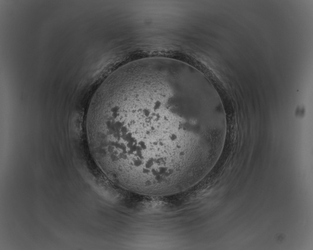 X0000091550695200708241756