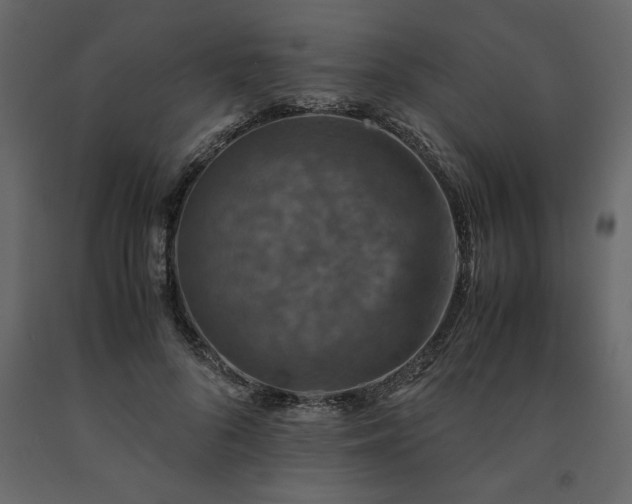 X0000091550696200708241756