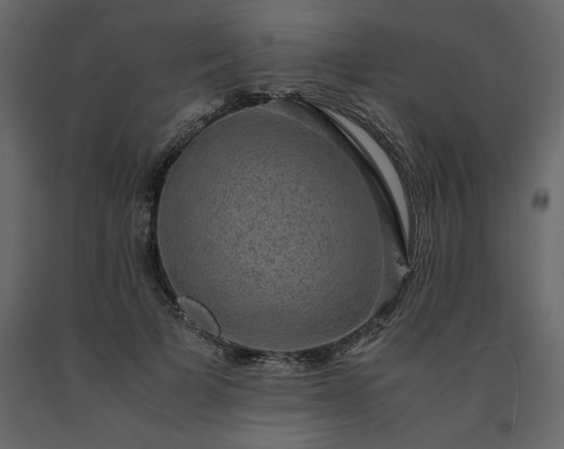 X0000091550697200708241756