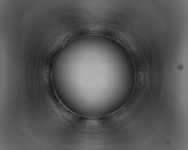 X0000091550698200708241756