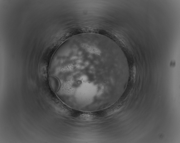 X0000091550699200708241756