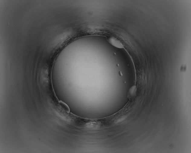 X0000091550700200708241756