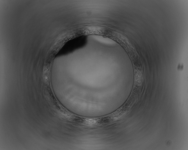 X0000091550701200708241756