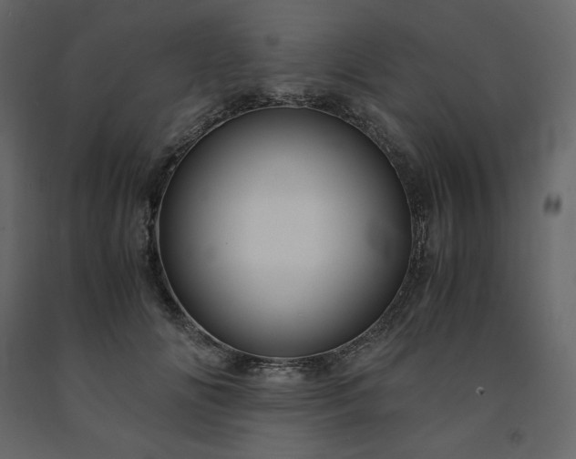 X0000091550702200708241756