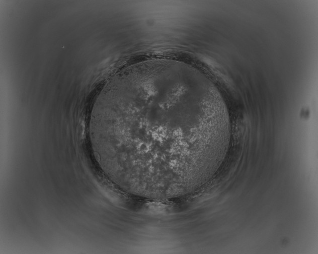 X0000091550703200708241756