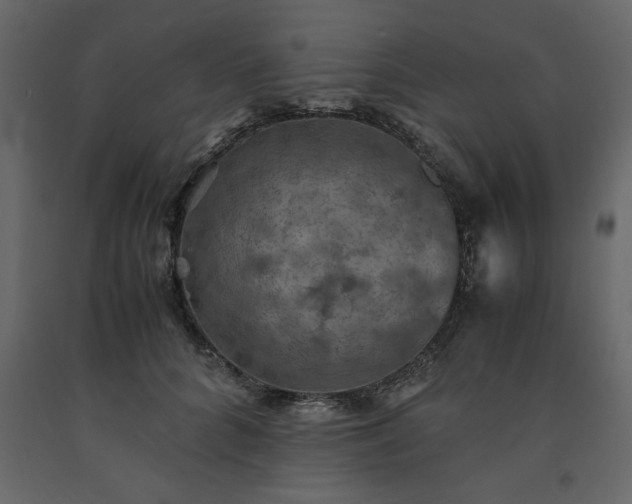 X0000091550704200708241756