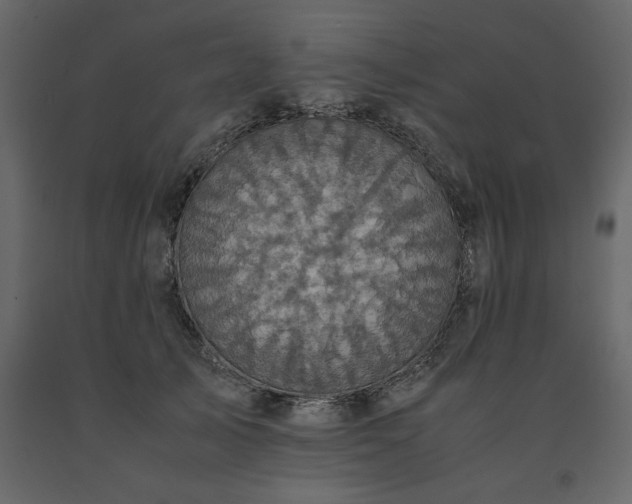 X0000091550705200708241756