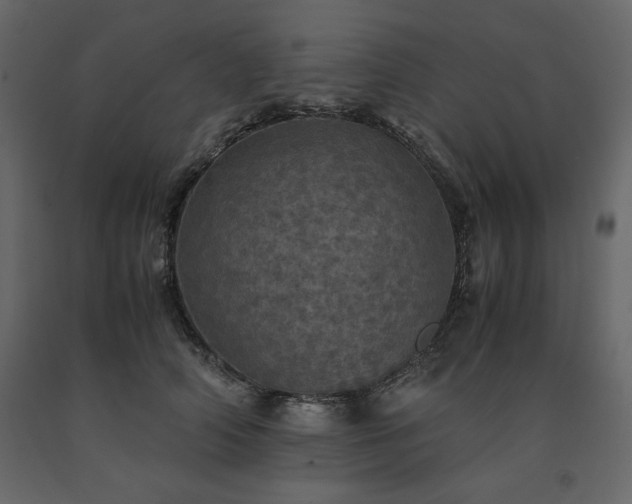 X0000091550706200708241756