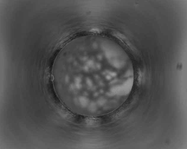 X0000091550707200708241756