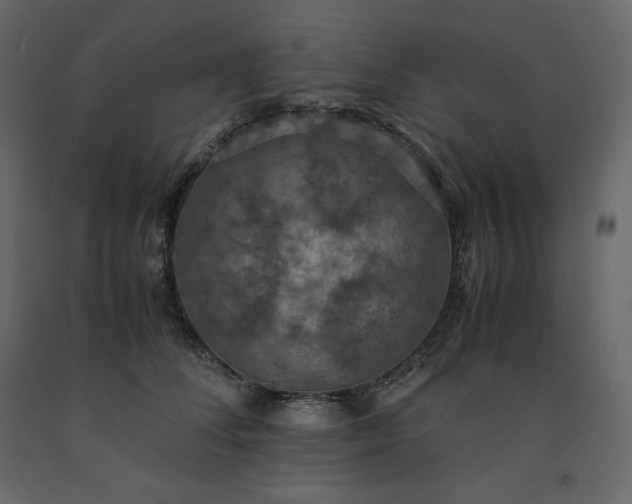 X0000091550708200708241756