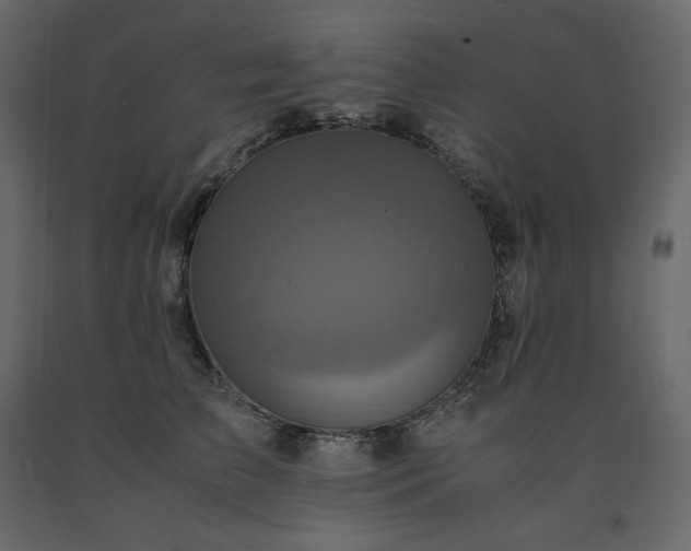 X0000091550709200708241756