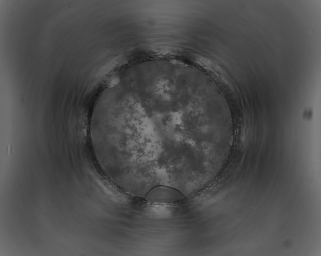 X0000091550710200708241756
