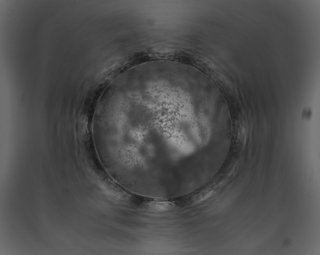 X0000091550711200708241755