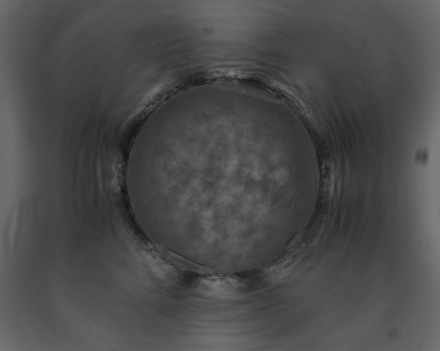 X0000091550712200708241755