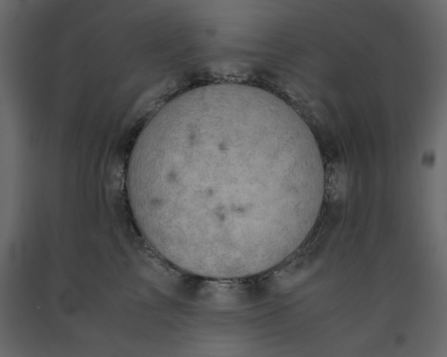 X0000091550713200708241755