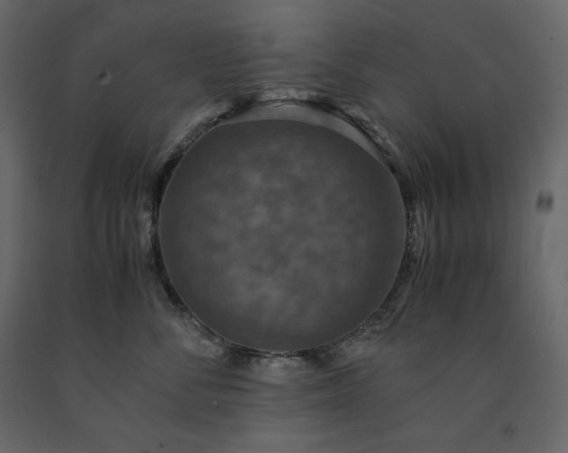 X0000091550716200708241755