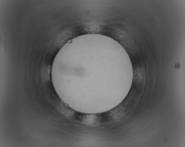 X0000091550717200708241755