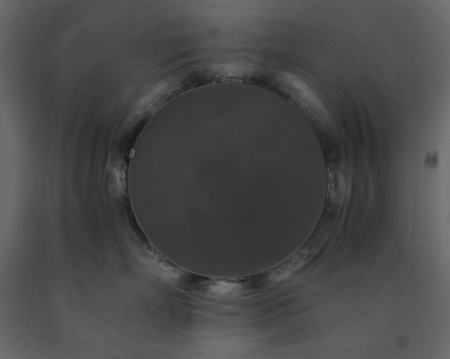 X0000091550718200708241755