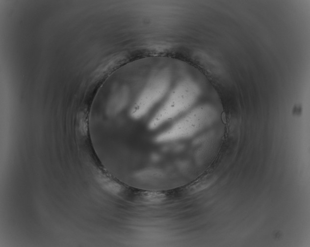 X0000091550719200708241755
