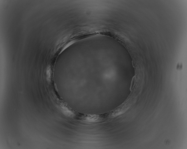 X0000091550720200708241755