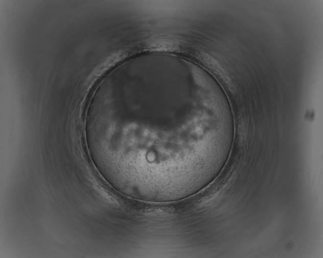 X0000091550721200708241755